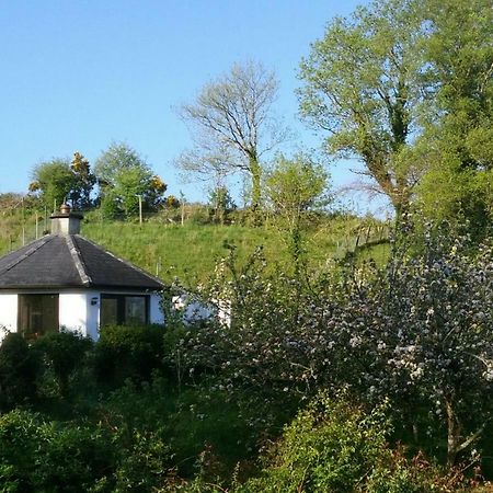 Drombrow Cottage Bantry Εξωτερικό φωτογραφία